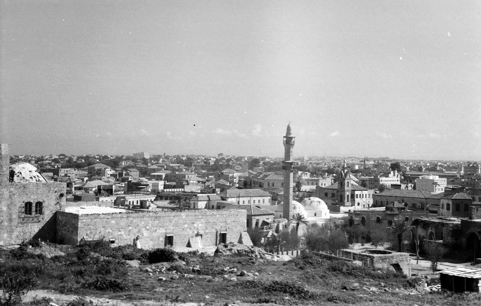 1964, Gazda Anikó, Fortepan #308718