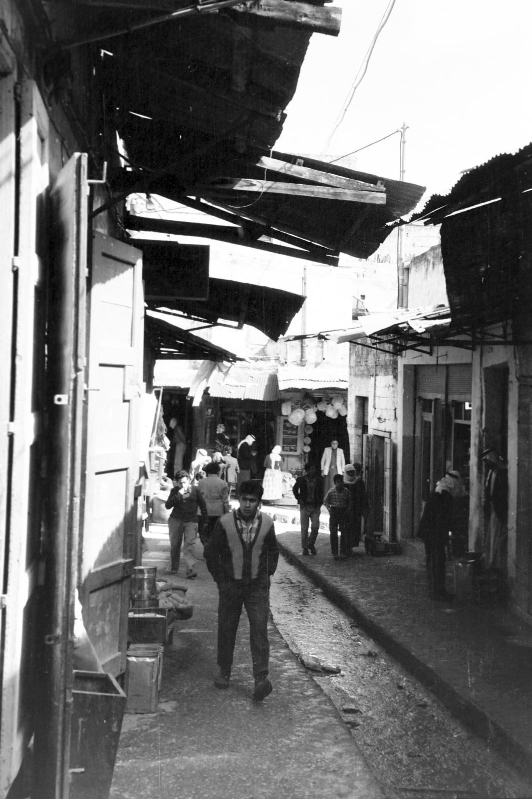 1964, Gazda Anikó, Fortepan #308720