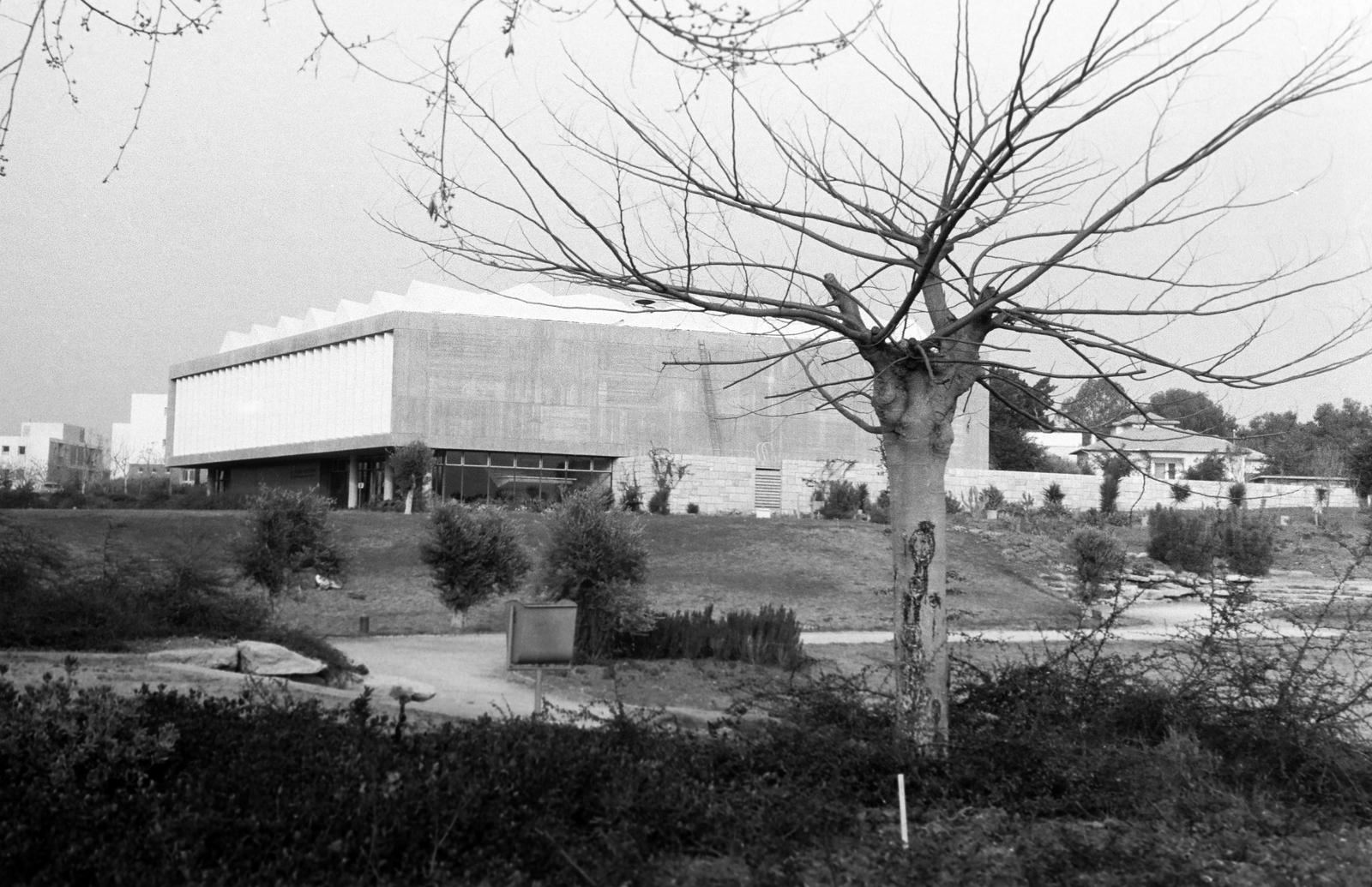 1964, Gazda Anikó, Fortepan #308725