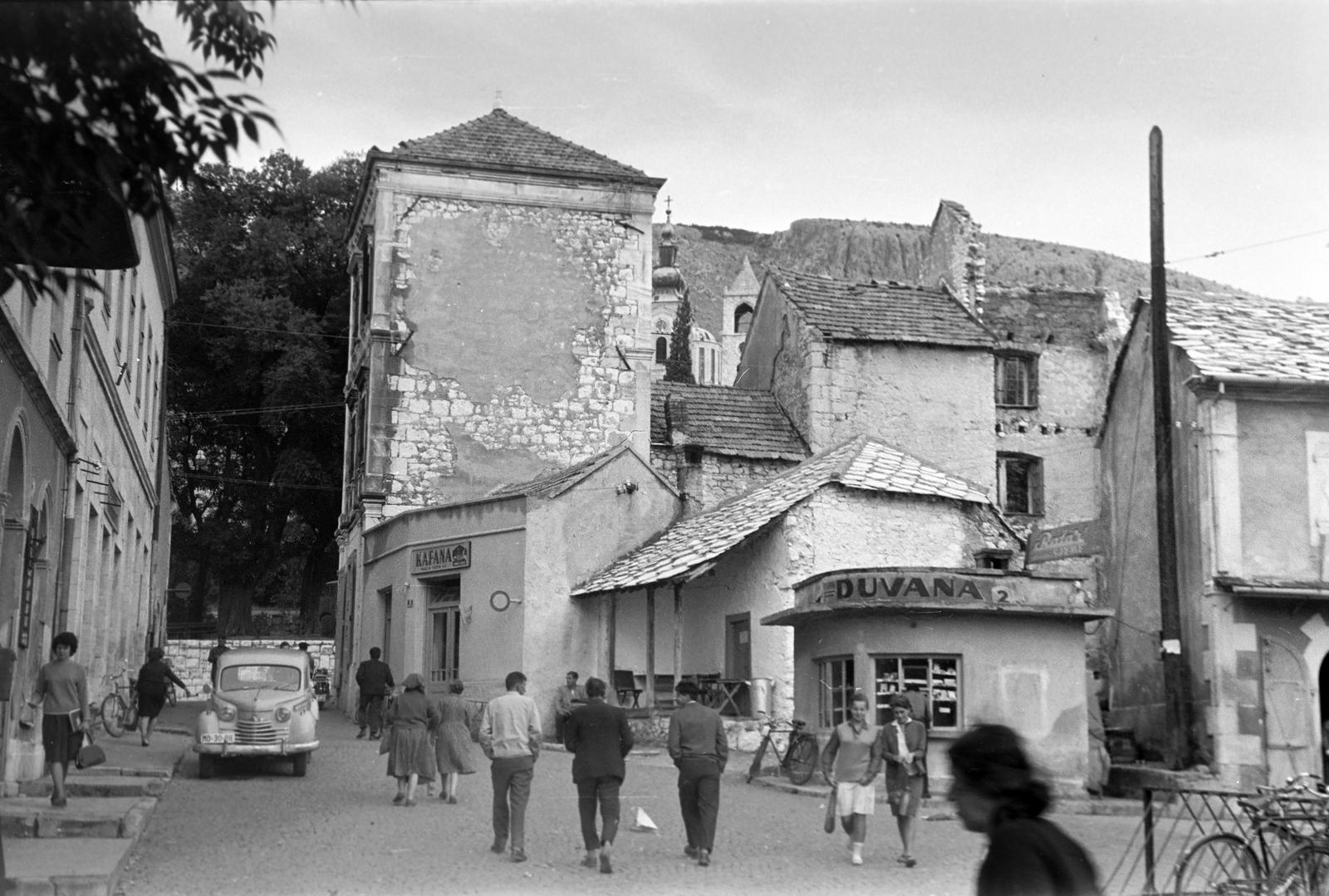 1964, Gazda Anikó, Fortepan #308726