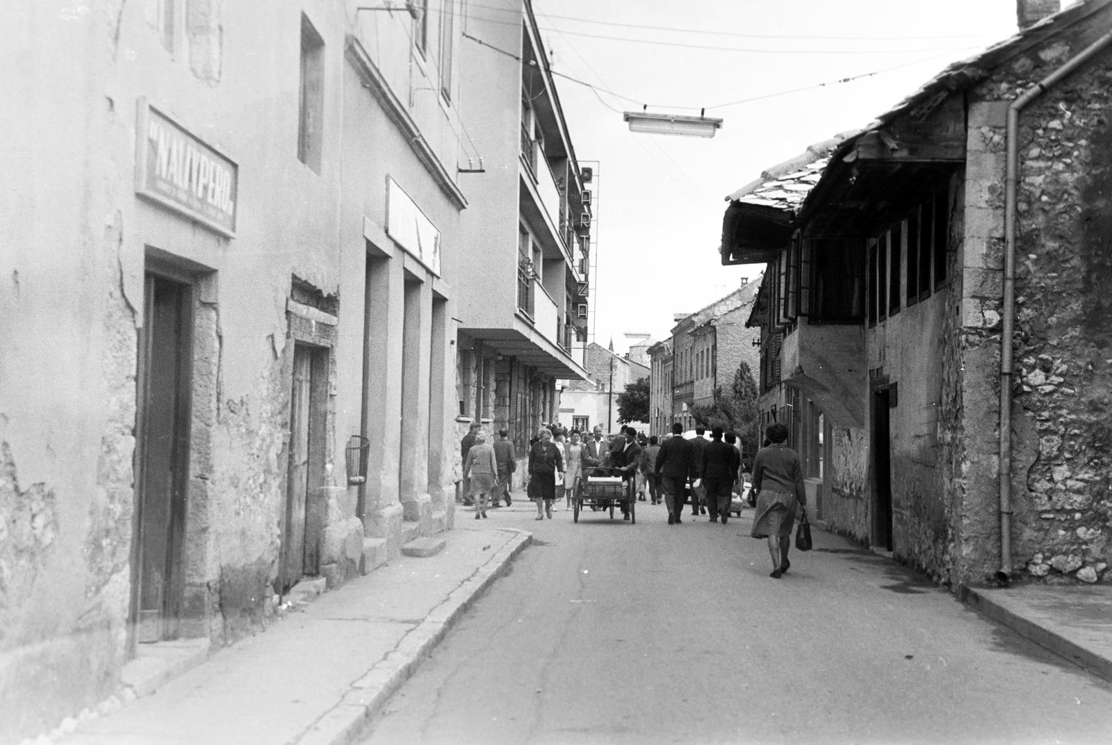 1964, Gazda Anikó, Fortepan #308727