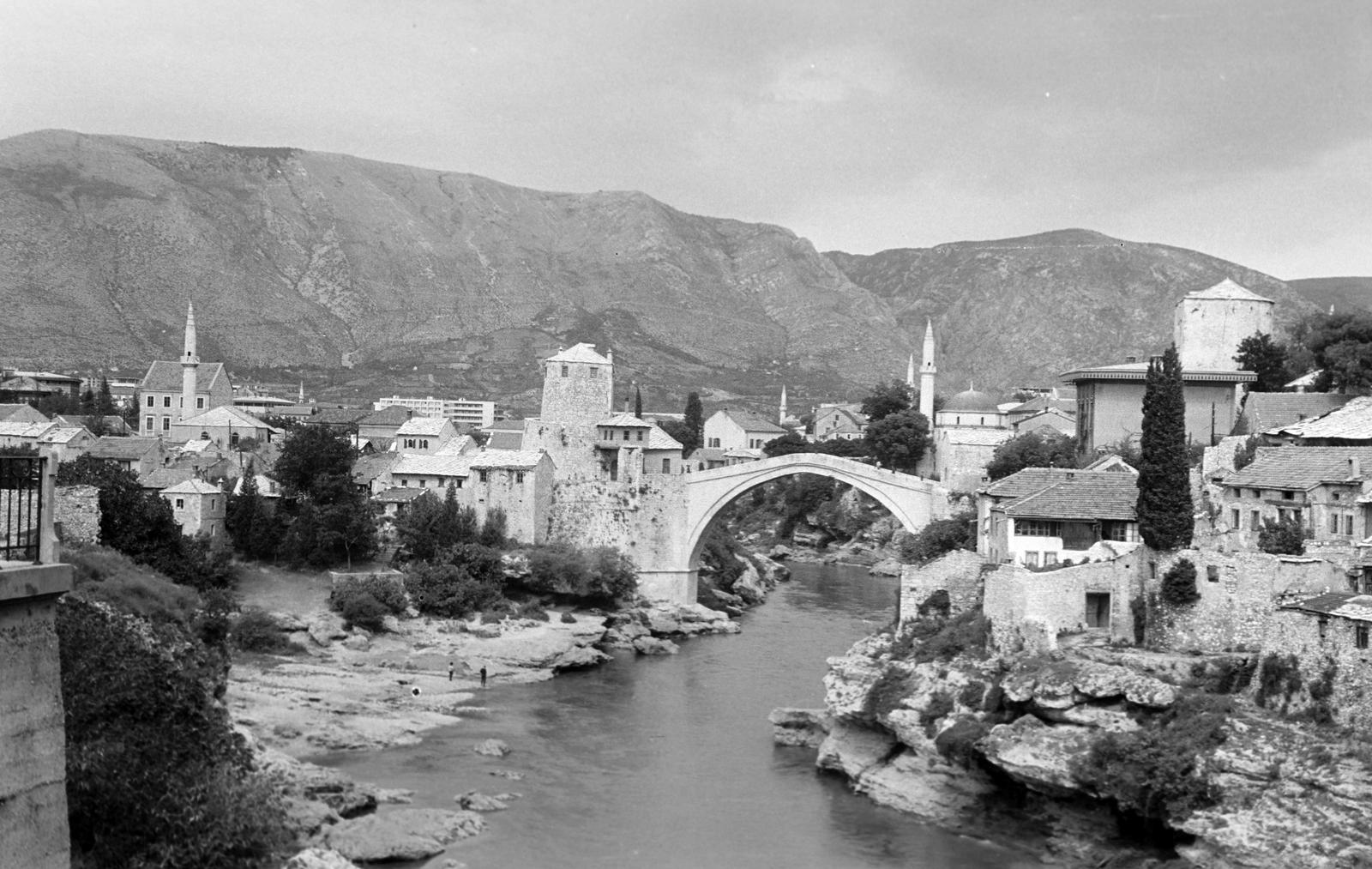 1964, Gazda Anikó, Fortepan #308730