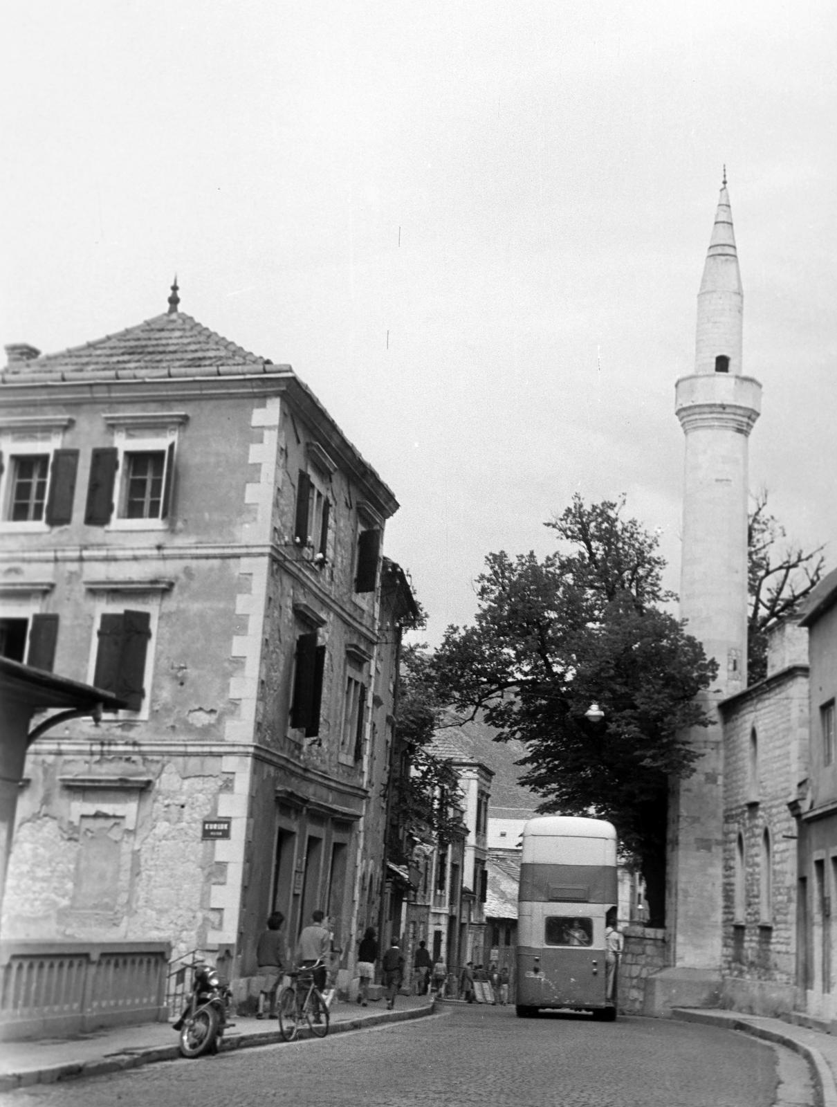 1964, Gazda Anikó, Fortepan #308731