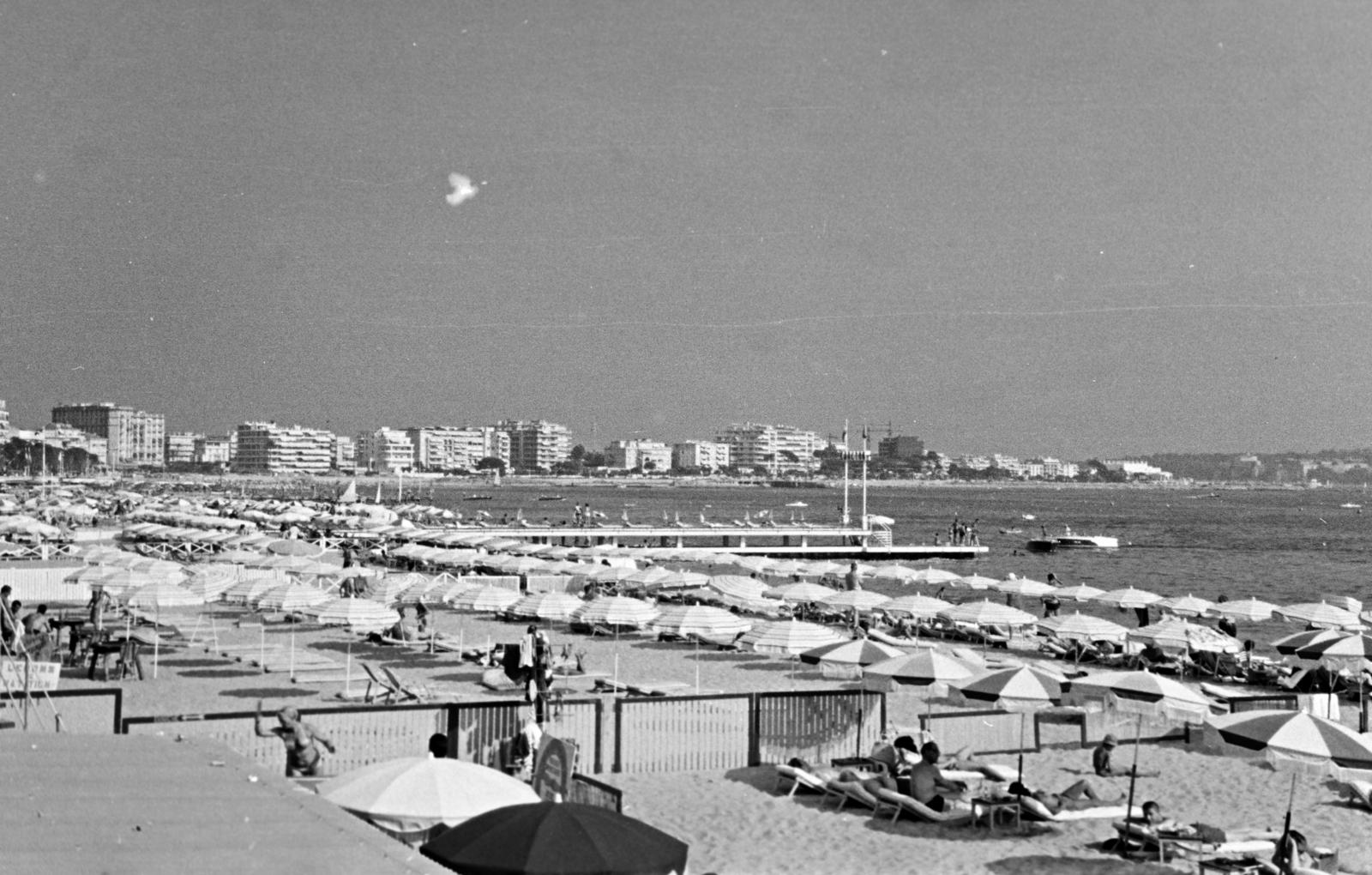 1961, Gazda Anikó, Fortepan #308752