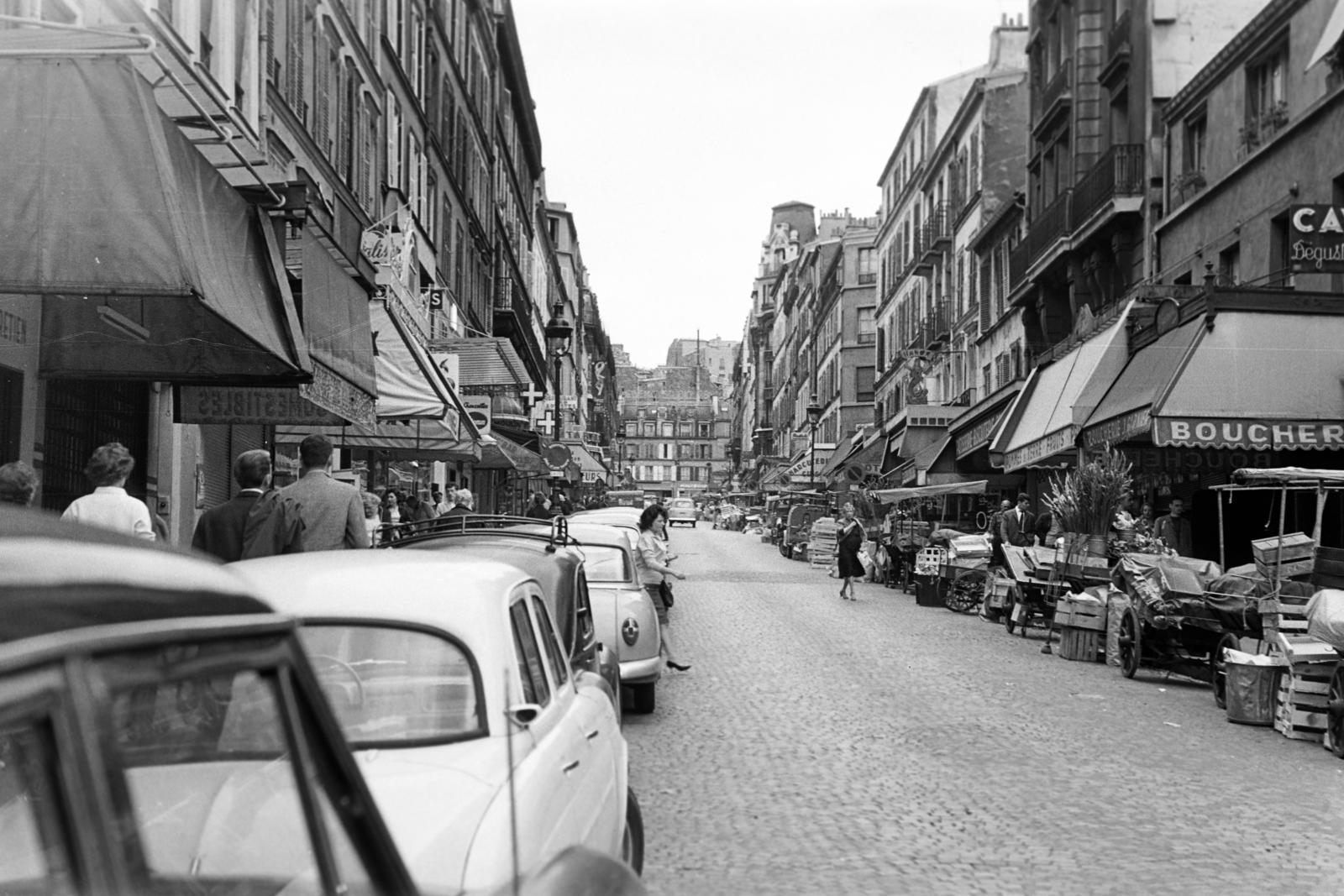 1961, Gazda Anikó, Fortepan #308763