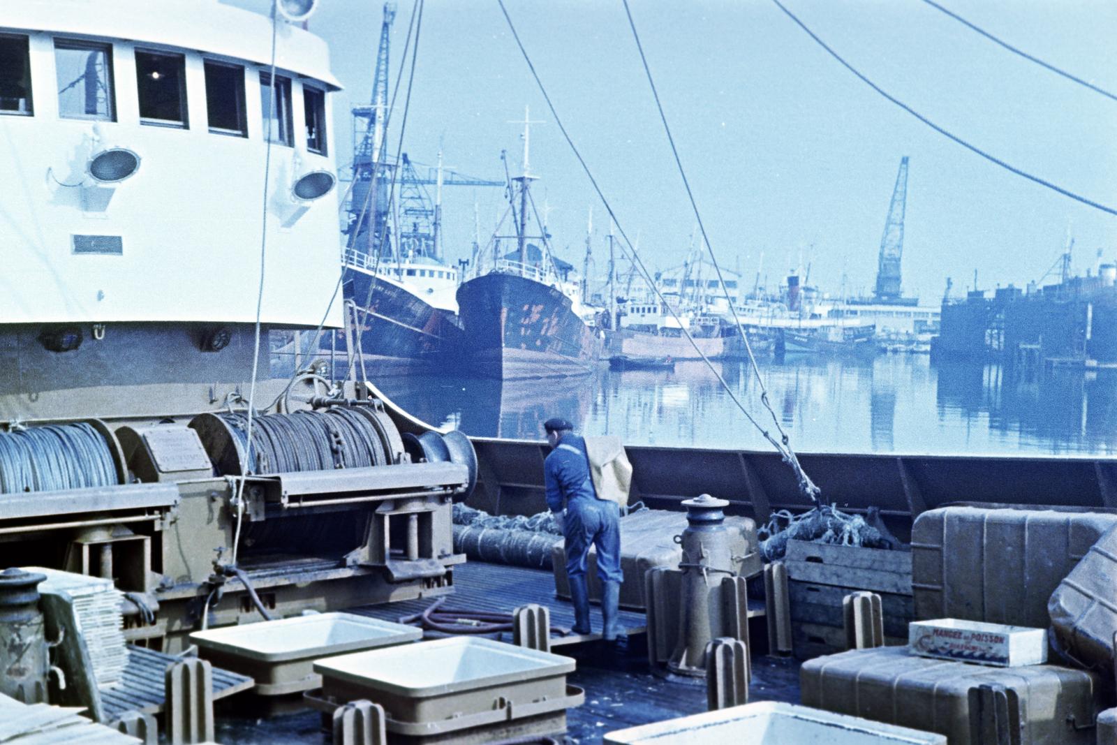 1961, Gazda Anikó, Fortepan #308766