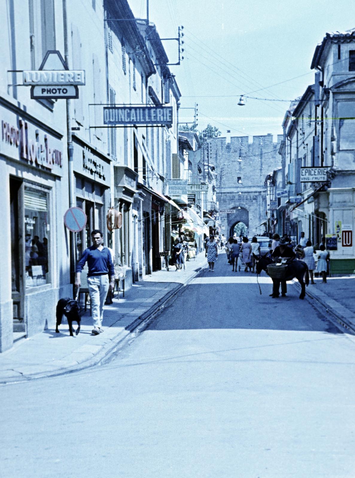 1961, Gazda Anikó, Fortepan #308770