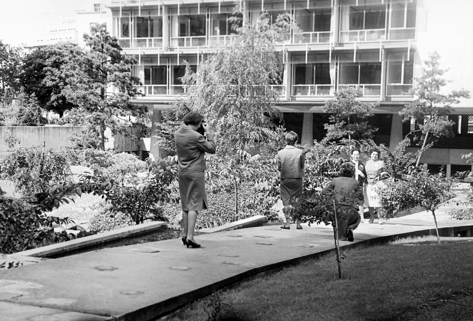 1961, Gazda Anikó, Fortepan #308793