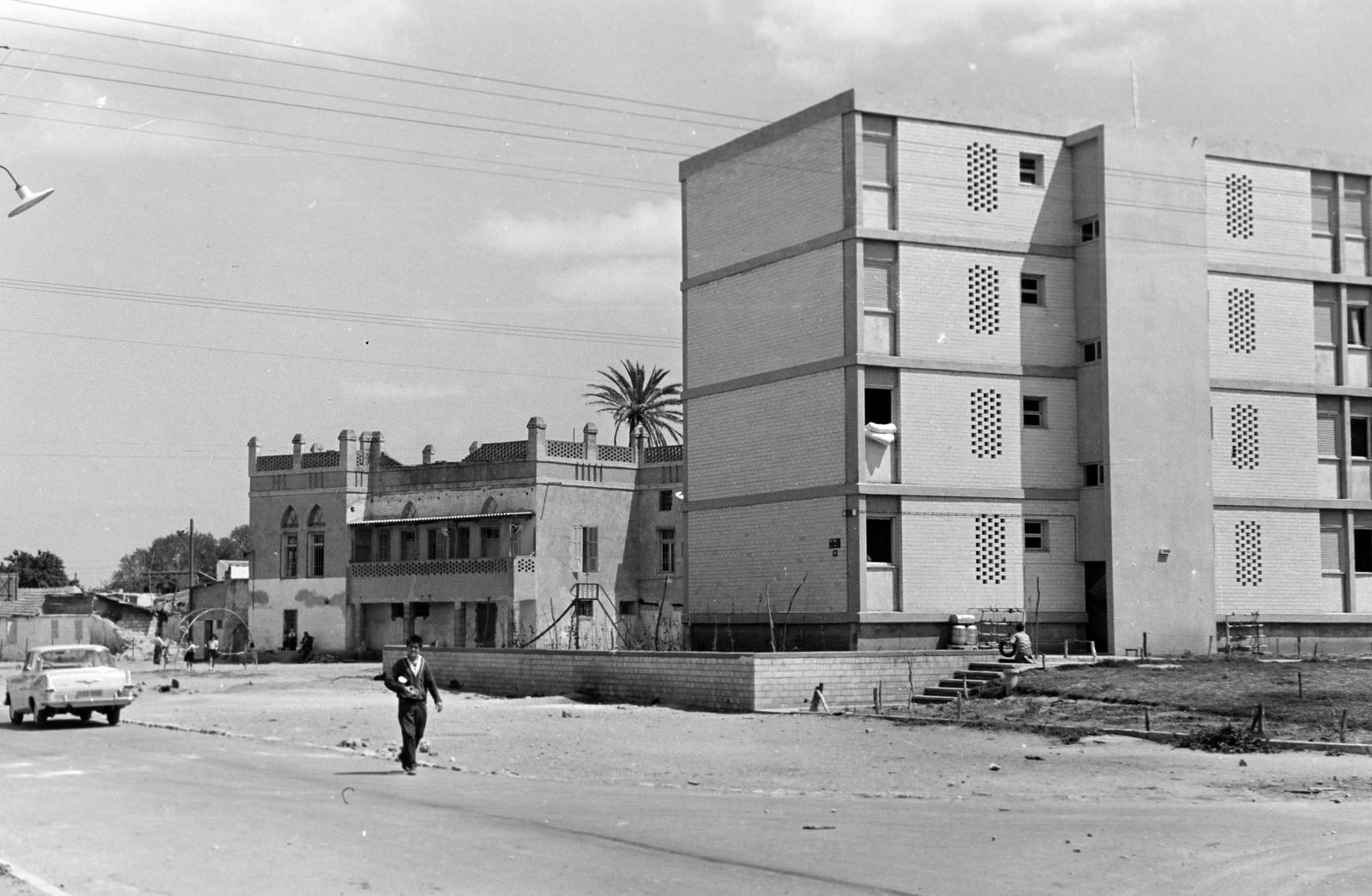 1962, Gazda Anikó, modern építészet, pálmafa, Fortepan #308840