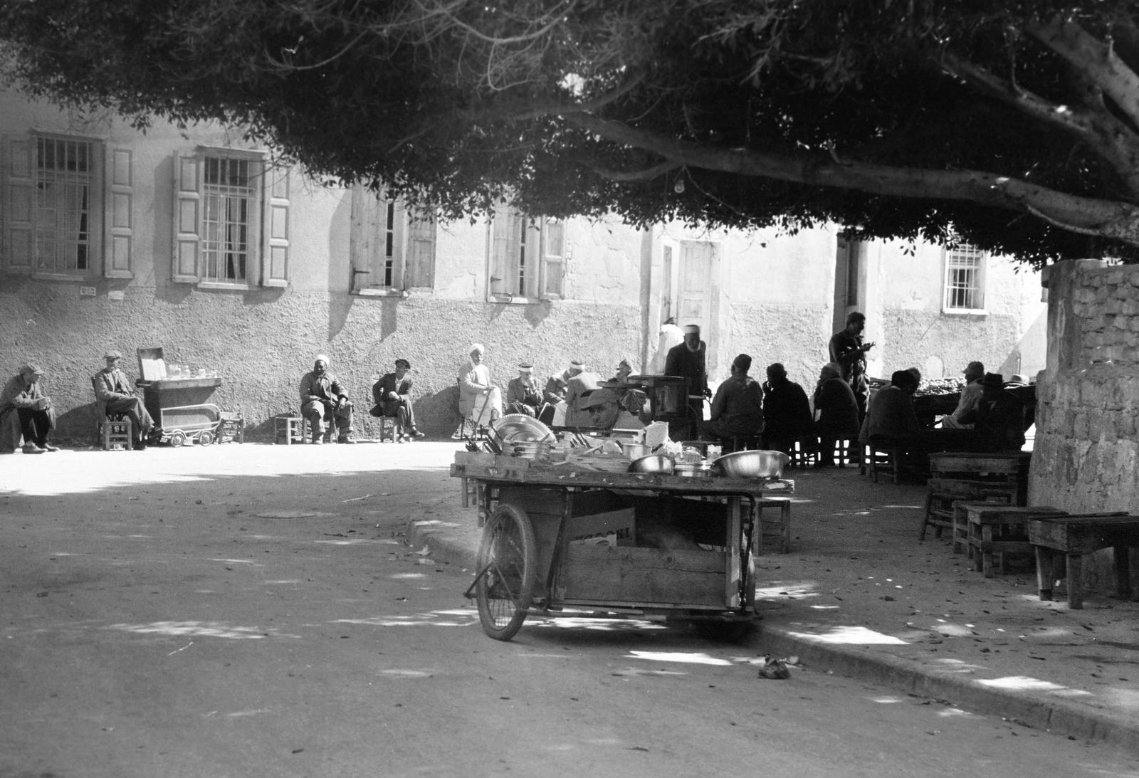 1962, Gazda Anikó, Fortepan #308846