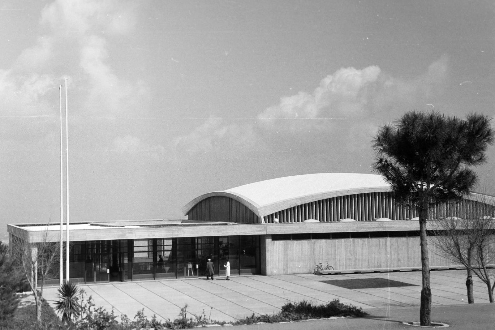 1962, Gazda Anikó, Fortepan #308869