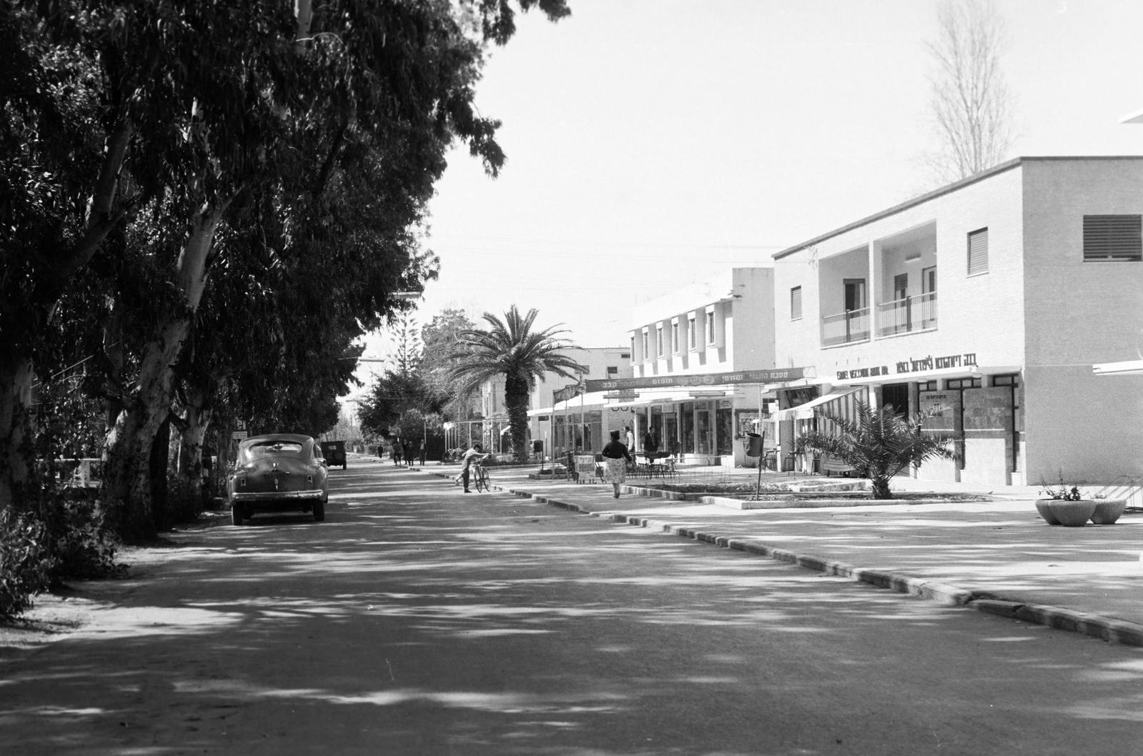 1962, Gazda Anikó, Fortepan #308871