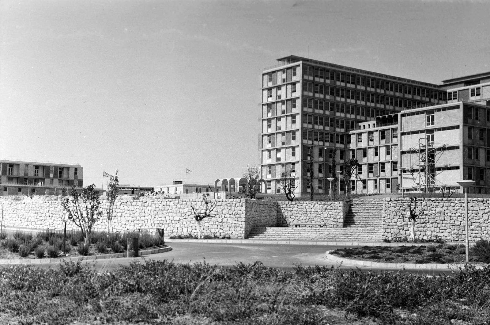 1962, Gazda Anikó, Fortepan #308918