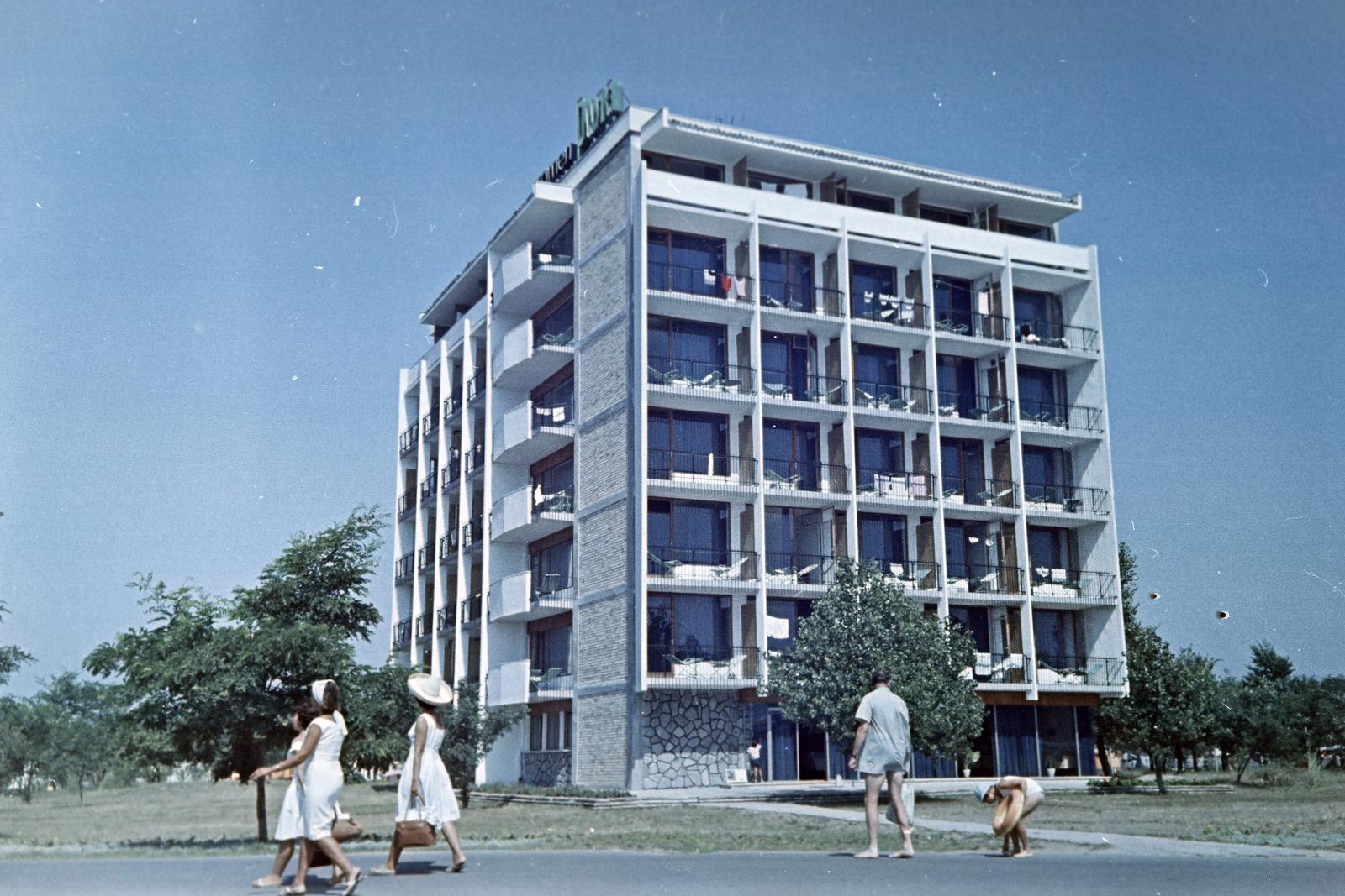 1964, Gazda Anikó, Fortepan #308947