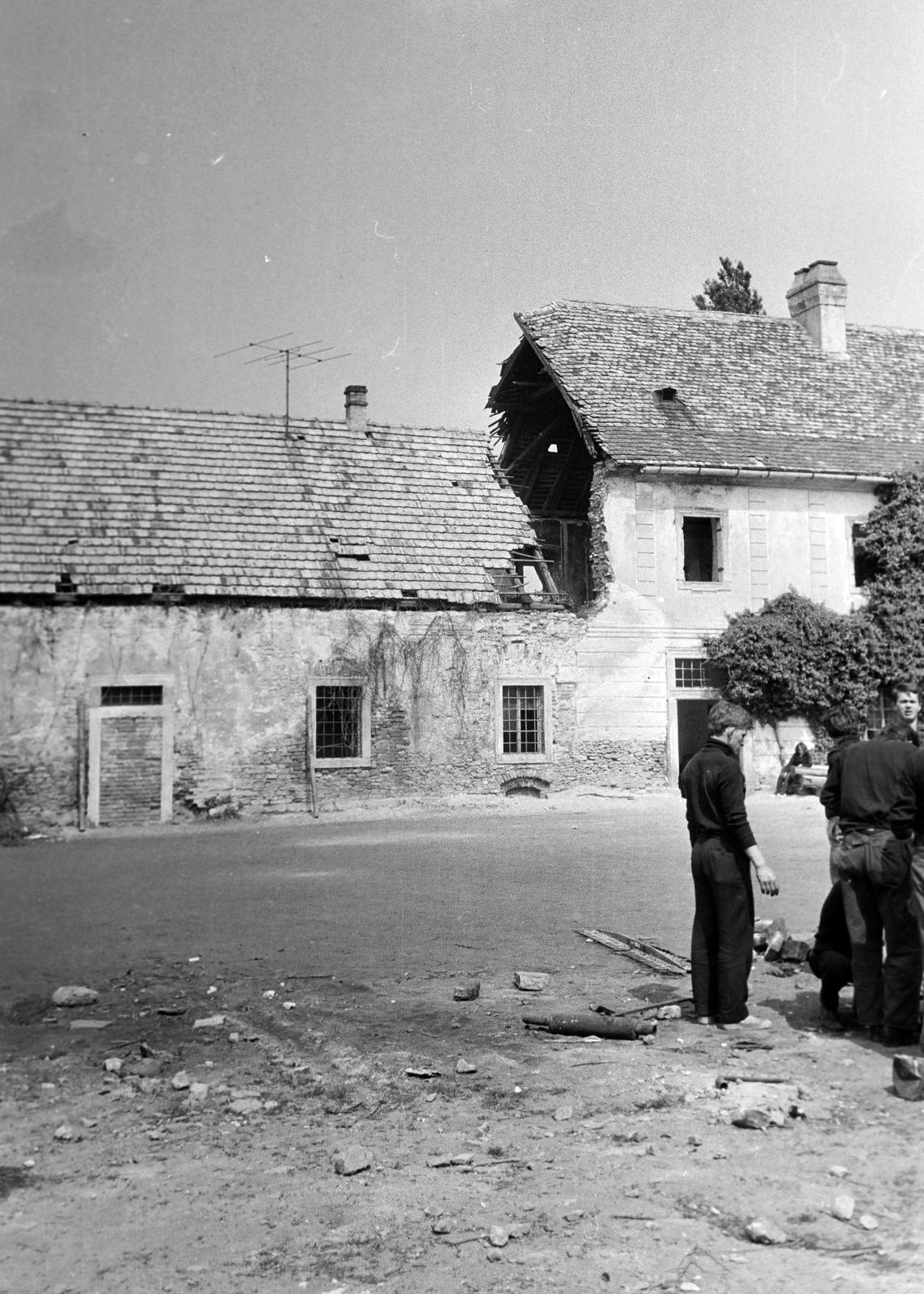 Magyarország, 1966, Gazda Anikó, Fortepan #308954