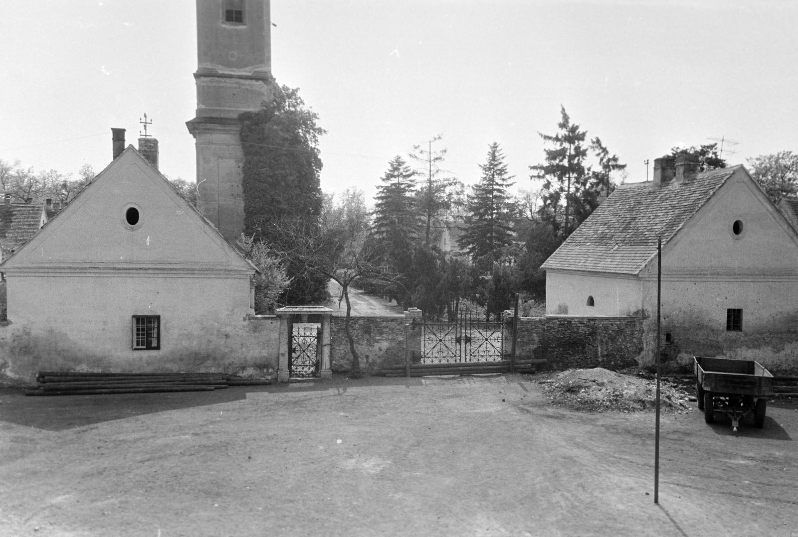 Magyarország, 1966, Gazda Anikó, Fortepan #308957
