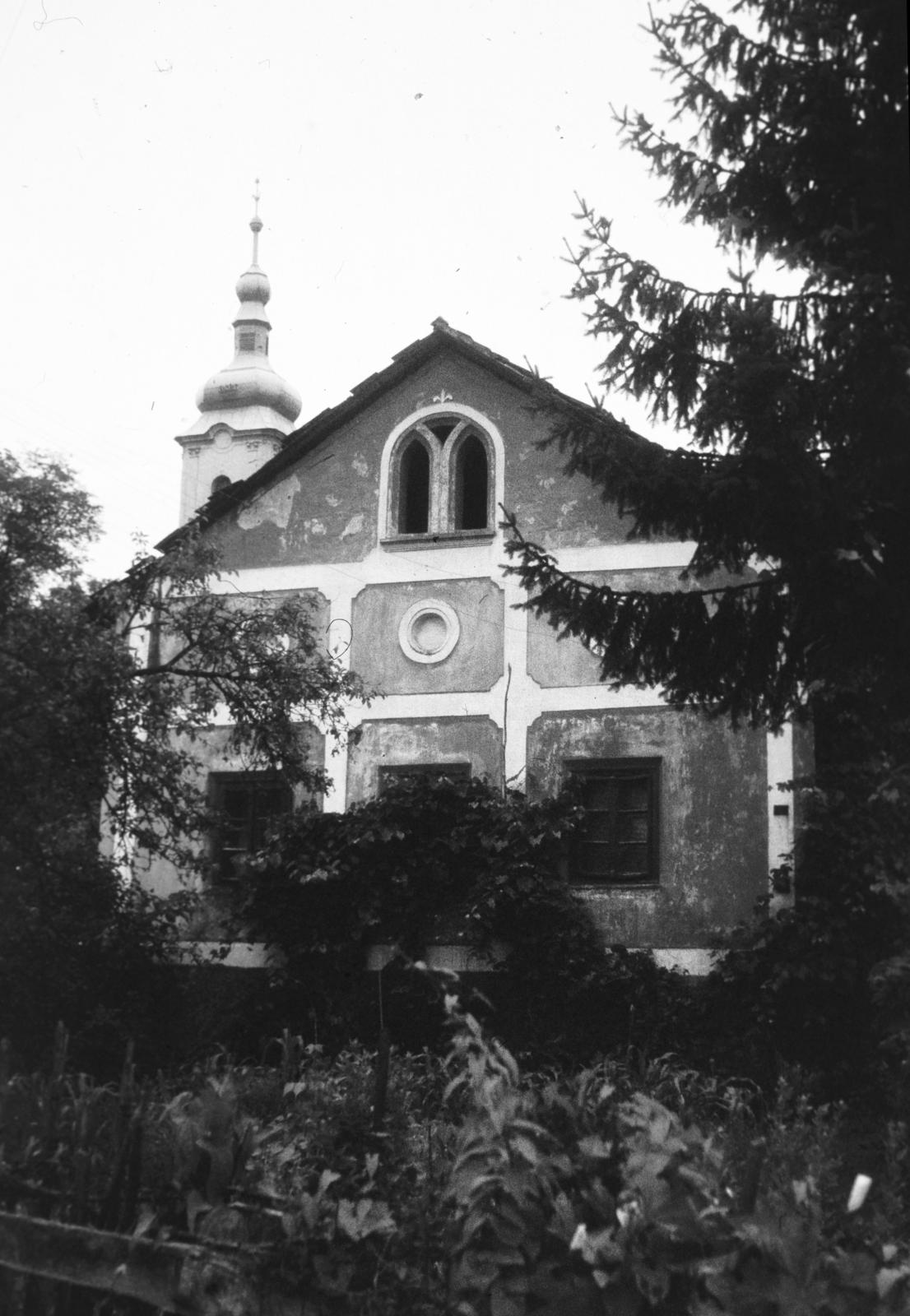 Magyarország, 1966, Gazda Anikó, Fortepan #308962