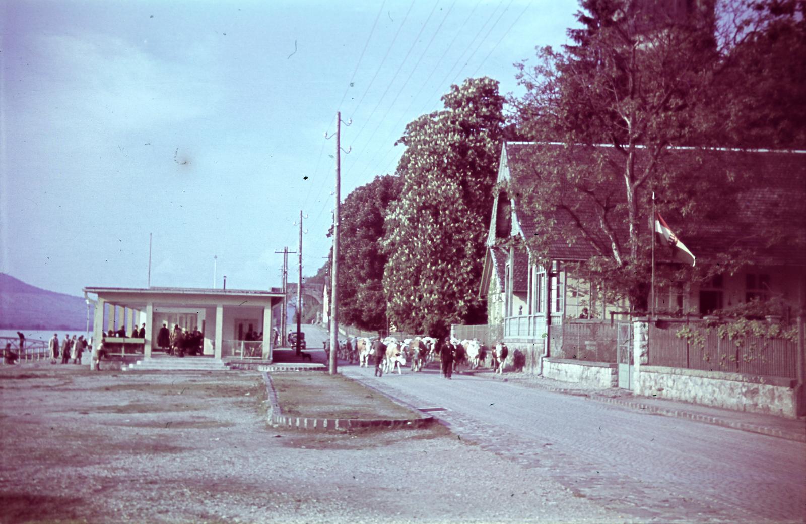 1937, Belházy Miklós, Fortepan #309008