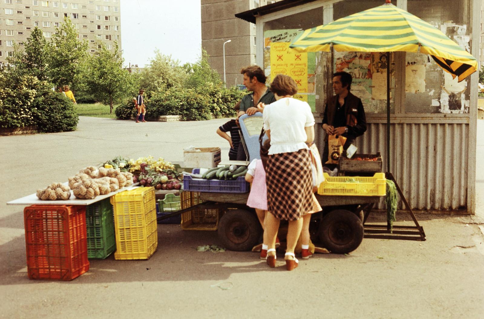 1980, Belházy Miklós, Fortepan #309024