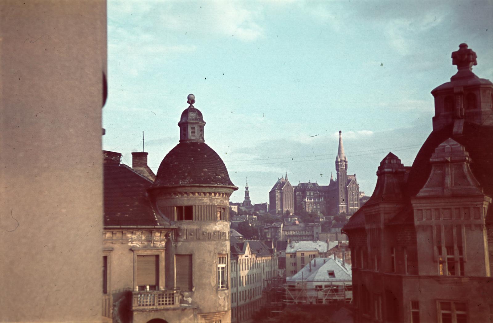 1939, Belházy Miklós, színes, Fortepan #309033