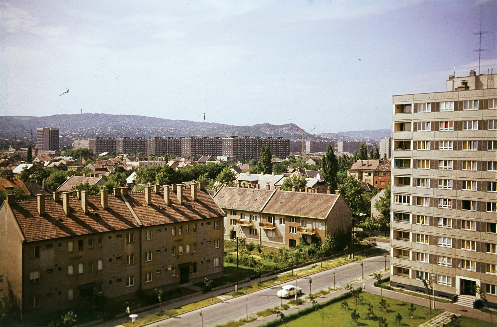 1976, Belházy Miklós, Fortepan #309048