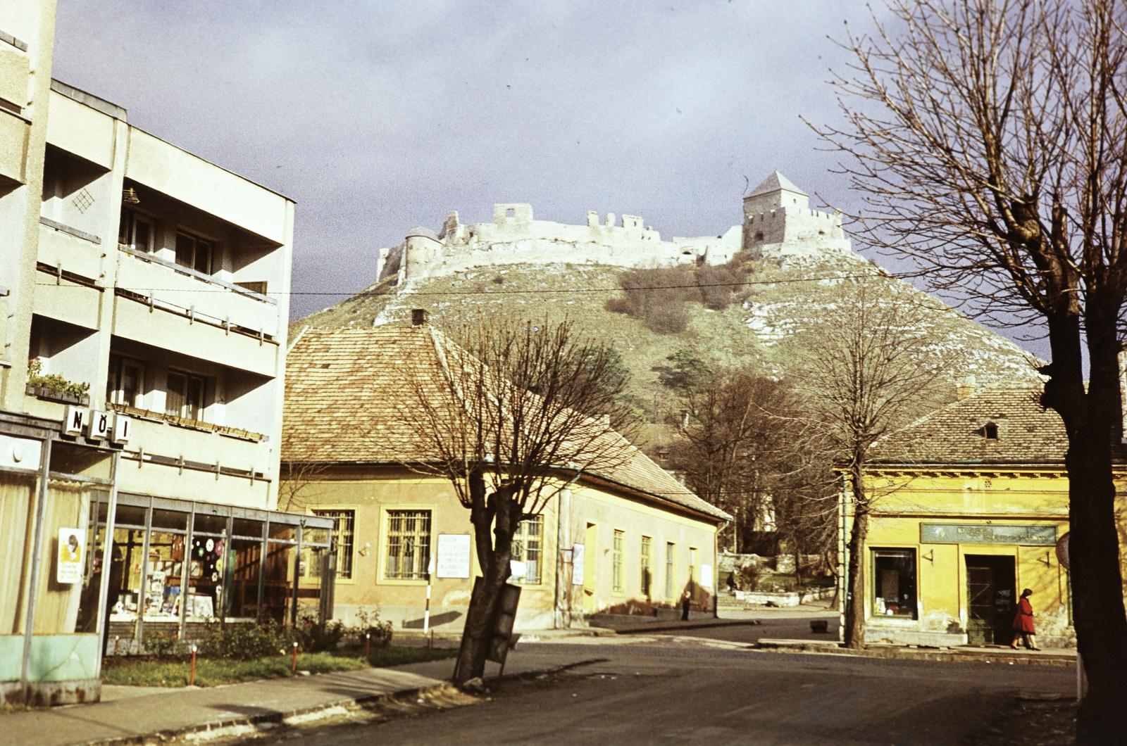 1981, Belházy Miklós, Fortepan #309070