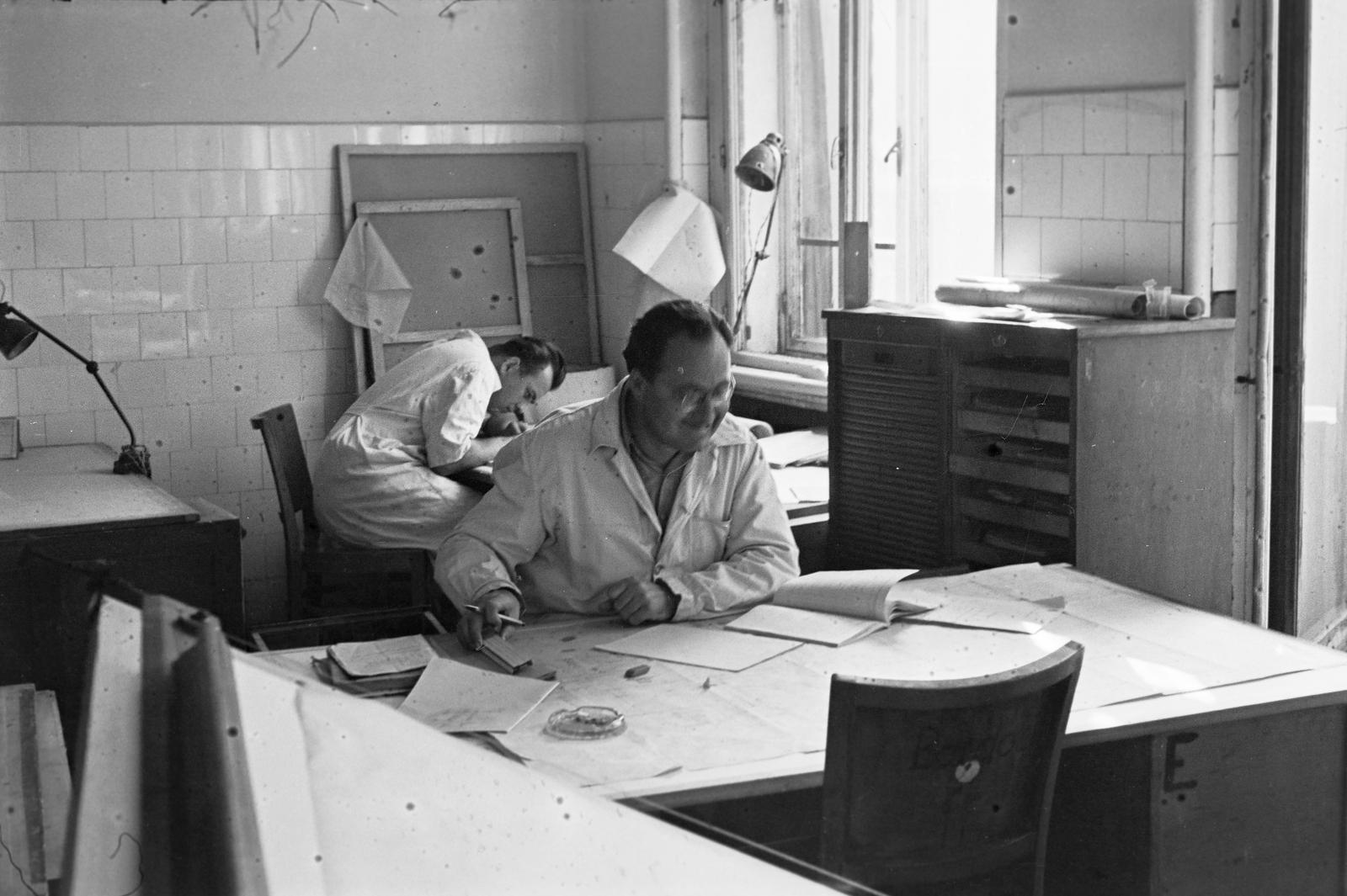 1955, Böhönyey Ágnes, Fortepan #309118