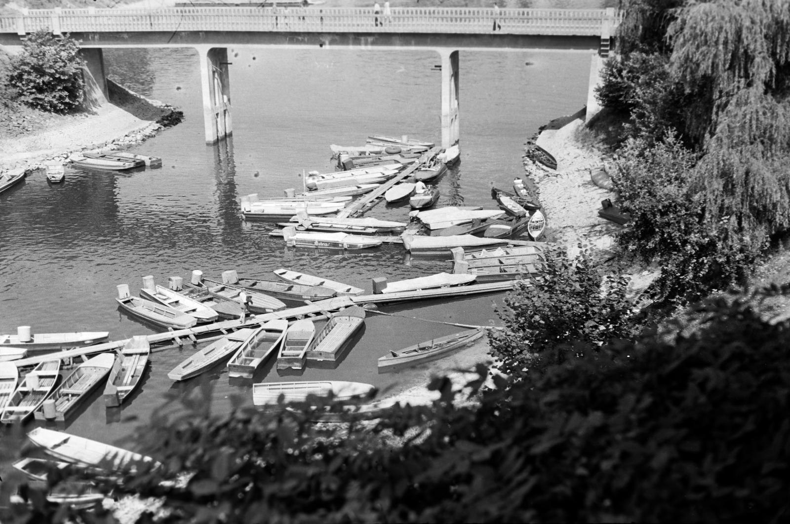 1953, Böhönyey Ágnes, Fortepan #309125