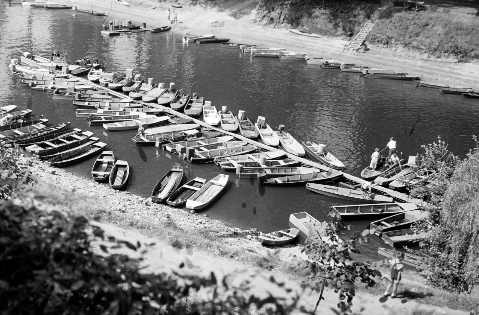 1953, Böhönyey Ágnes, Fortepan #309126