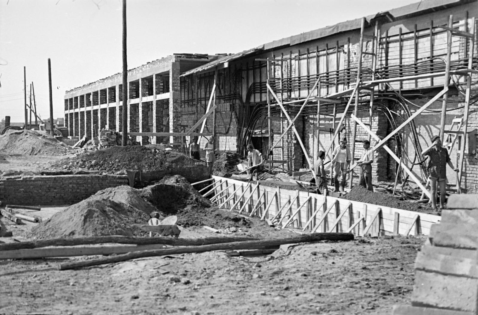 1953, Böhönyey Ágnes, Fortepan #309129