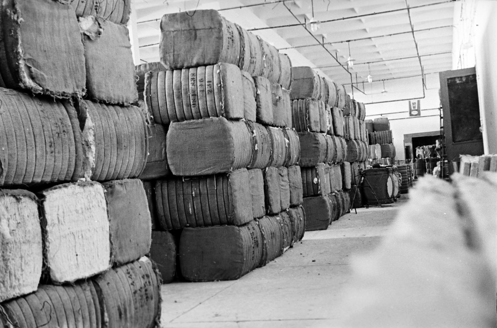 1954, Böhönyey Ágnes, Fortepan #309131