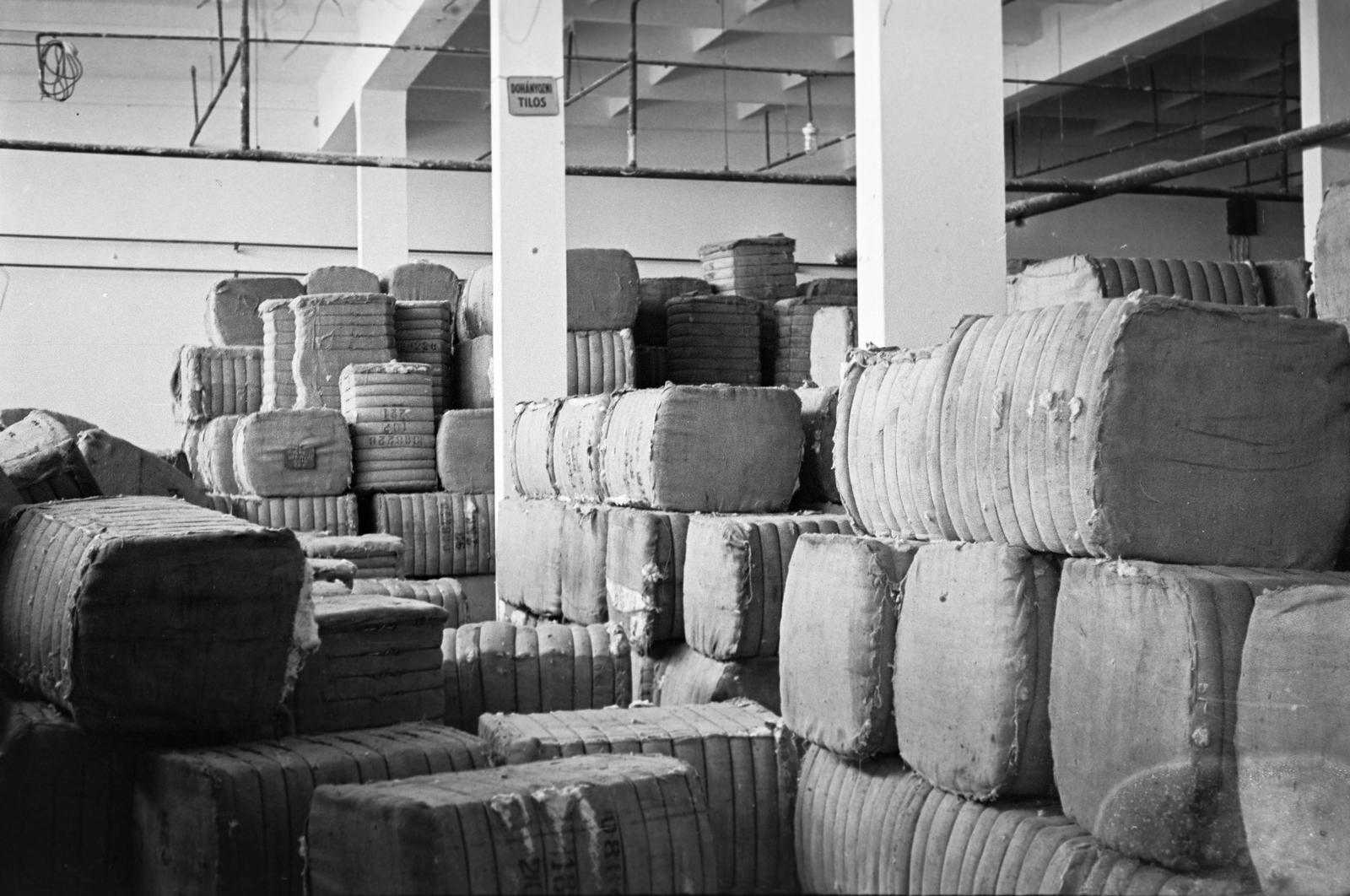 1954, Böhönyey Ágnes, Fortepan #309132