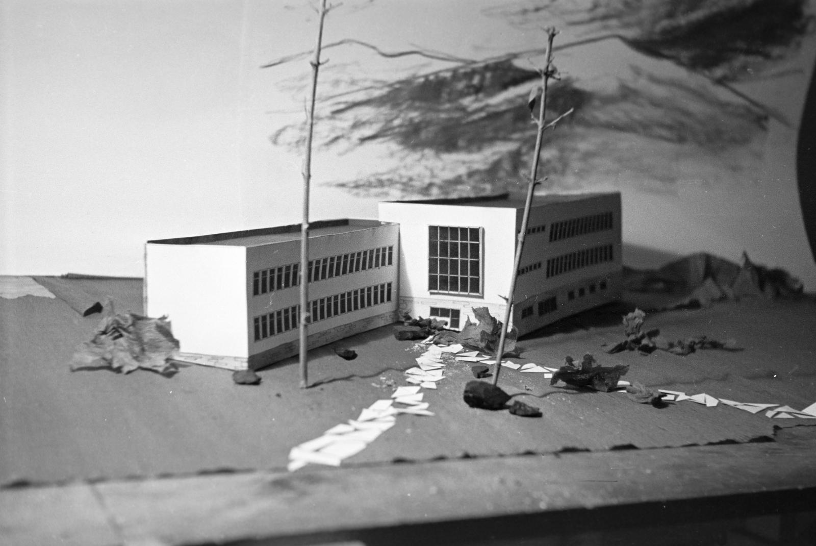 1954, Böhönyey Ágnes, Fortepan #309136