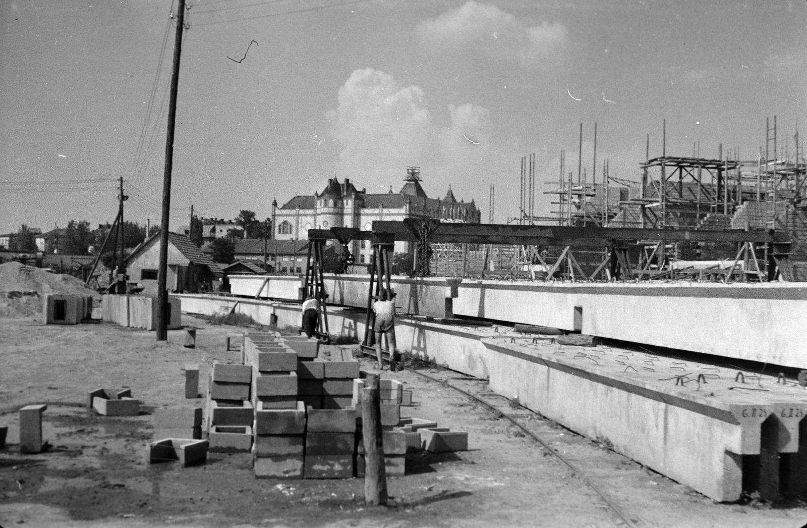 1950, Böhönyey Ágnes, Fortepan #309143