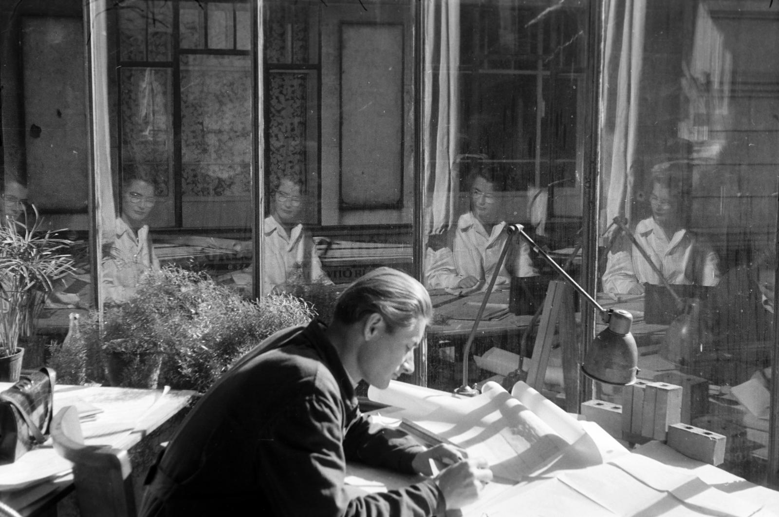 1950, Böhönyey Ágnes, Fortepan #309151