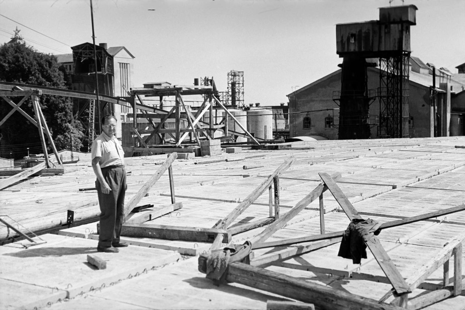 1955, Böhönyey Ágnes, Fortepan #309168