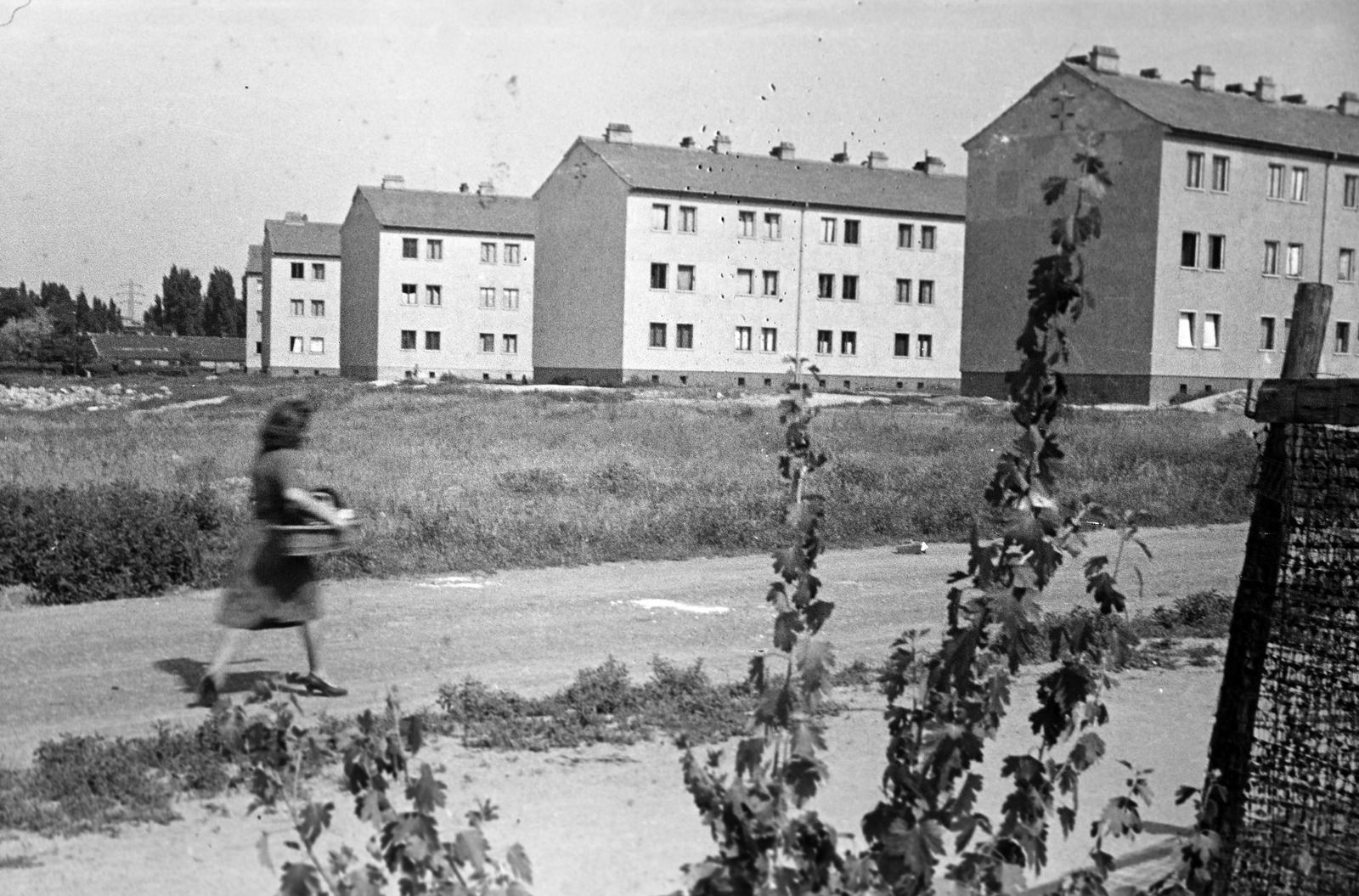 1955, Böhönyey Ágnes, Fortepan #309171