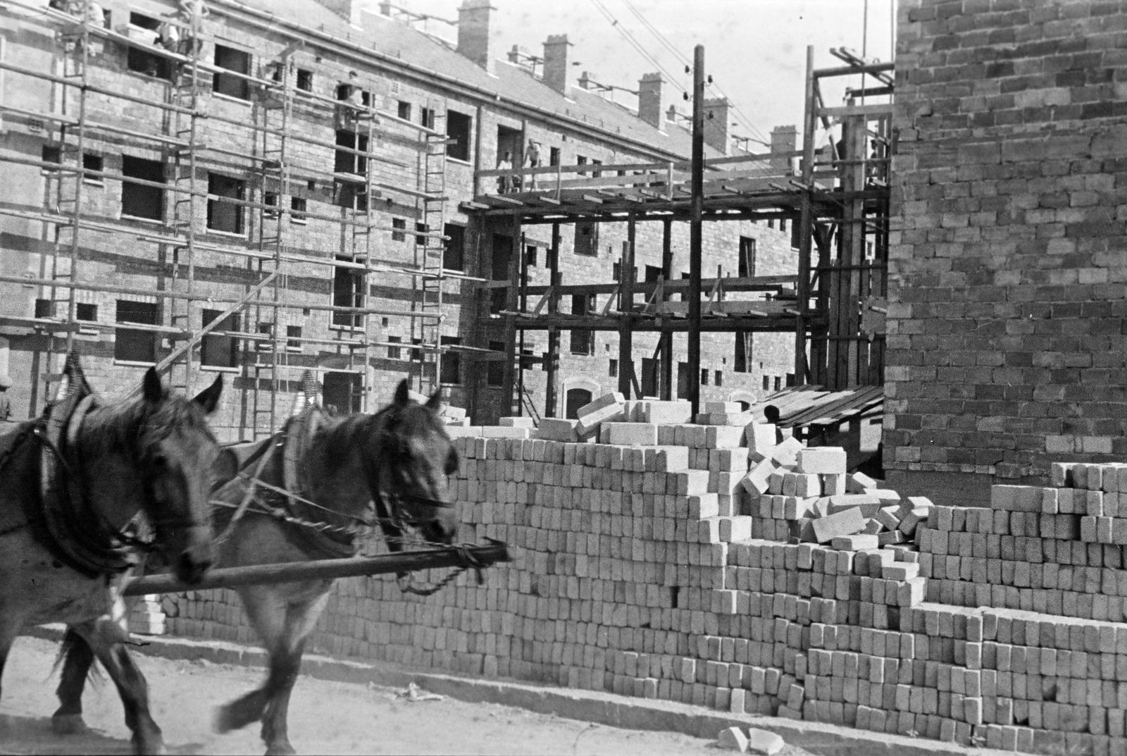 1949, Böhönyey Ágnes, Fortepan #309175