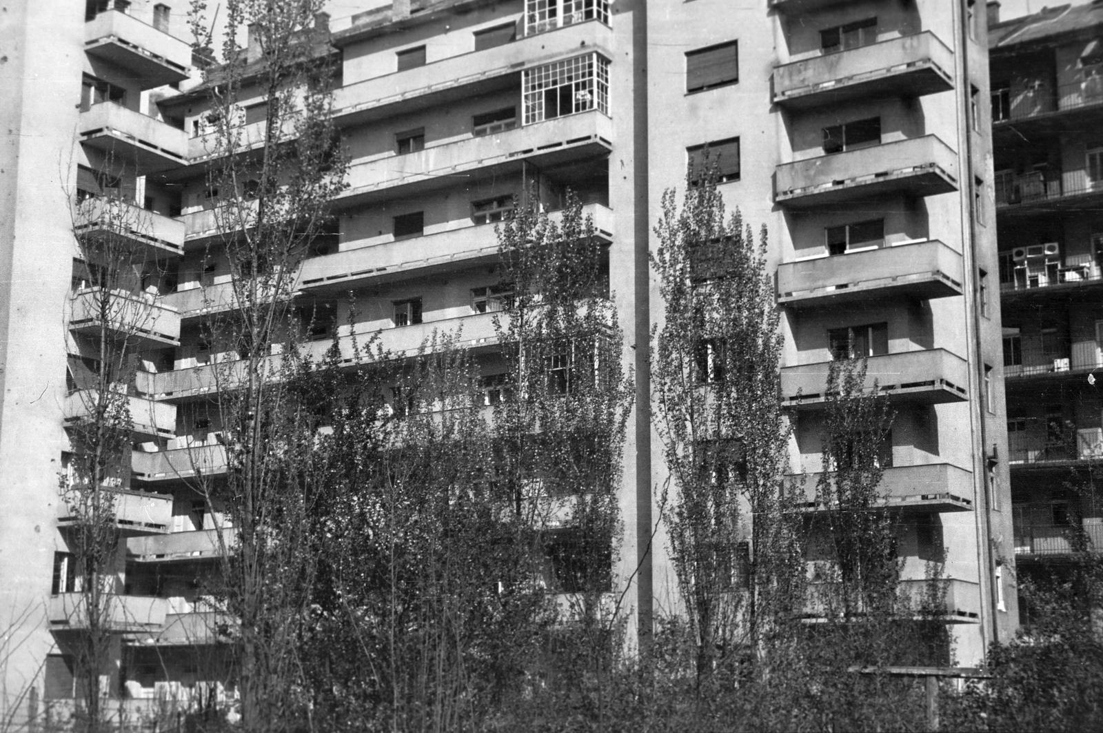 1968, Böhönyey Ágnes, Fortepan #309178