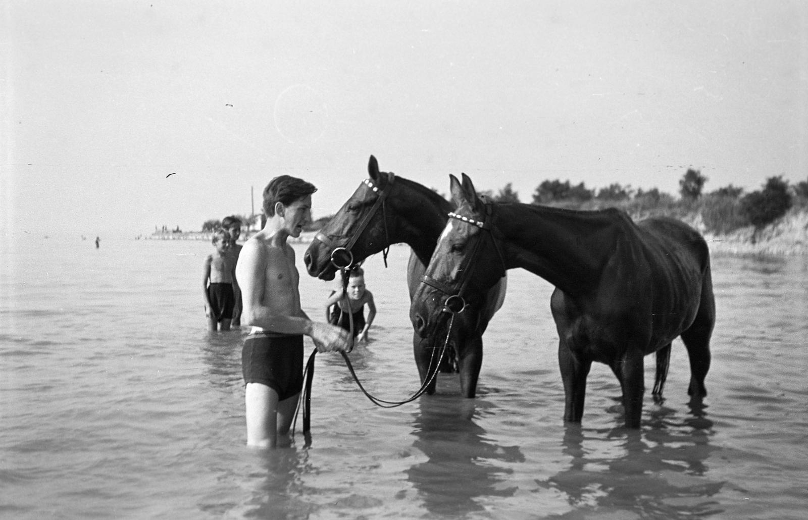 1951, Böhönyey Ágnes, Fortepan #309184