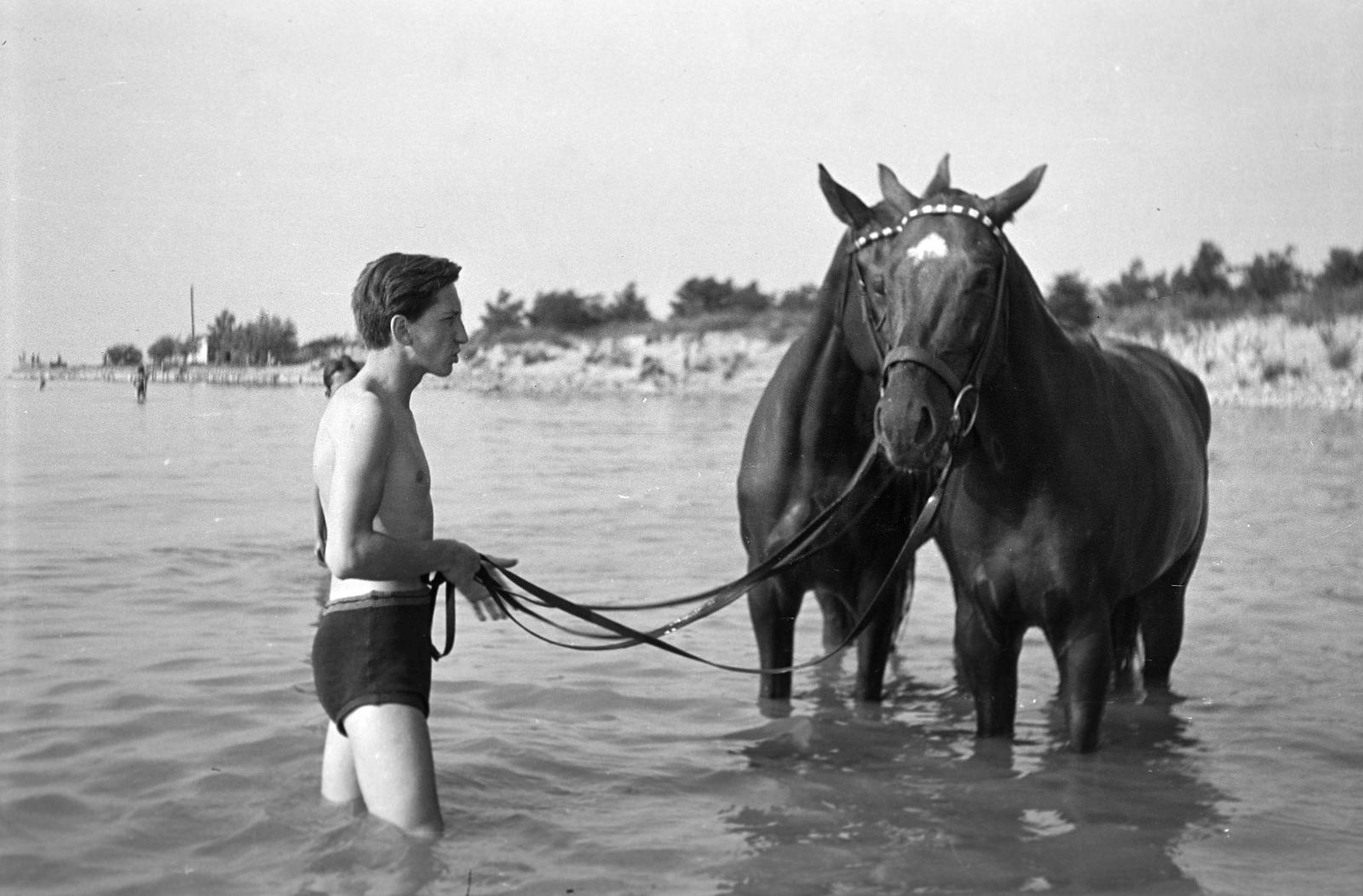 1951, Böhönyey Ágnes, Fortepan #309185