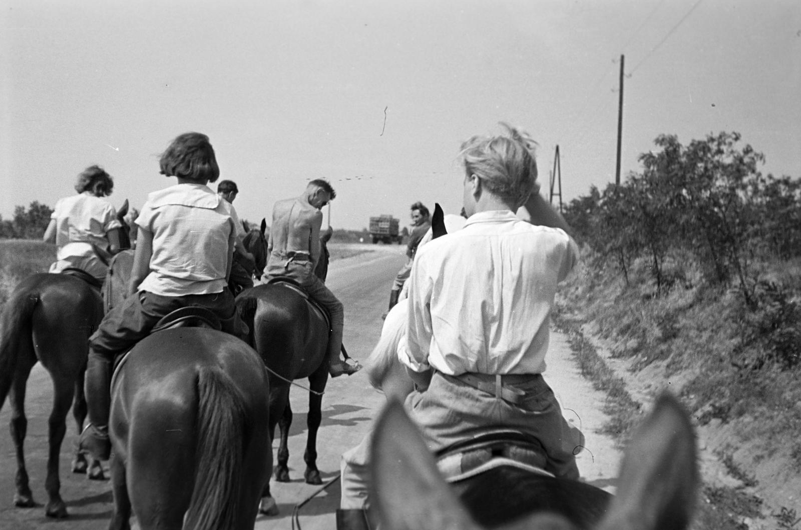 1951, Böhönyey Ágnes, Fortepan #309186