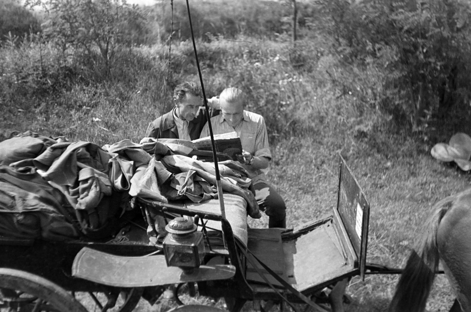 1951, Böhönyey Ágnes, Fortepan #309187