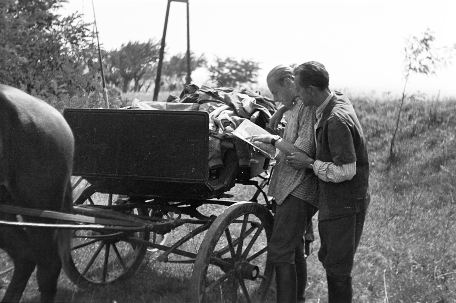 1951, Böhönyey Ágnes, Fortepan #309188
