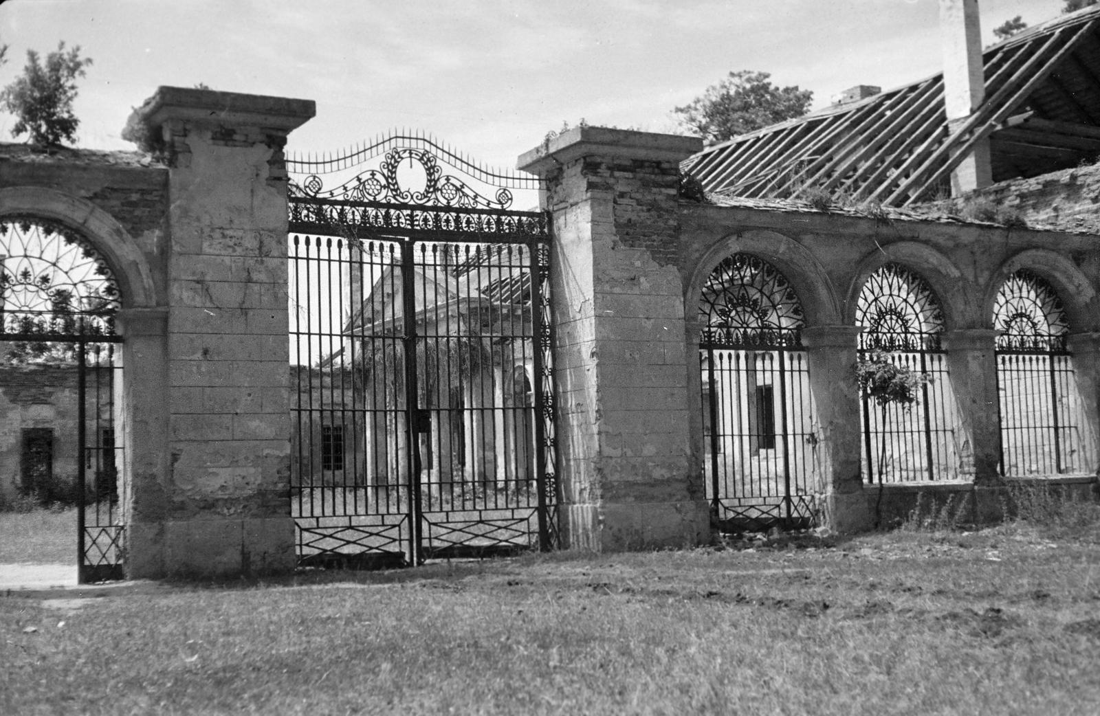 1955, Böhönyey Ágnes, Fortepan #309193