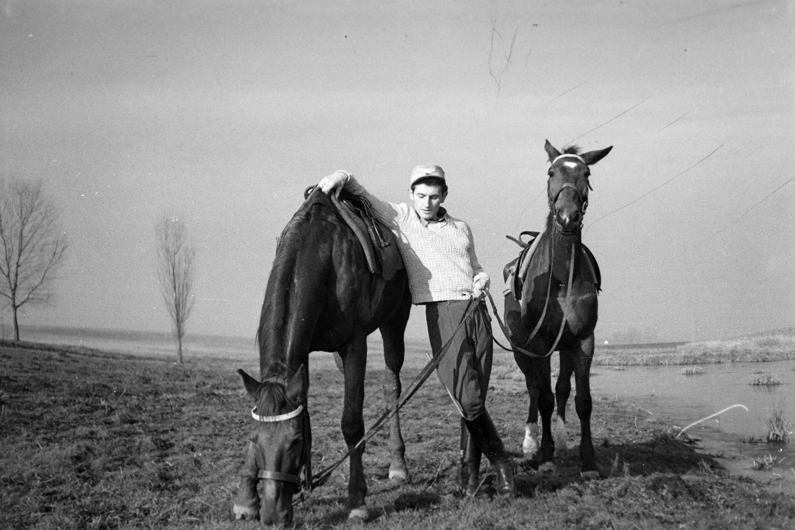 1951, Böhönyey Ágnes, Fortepan #309195