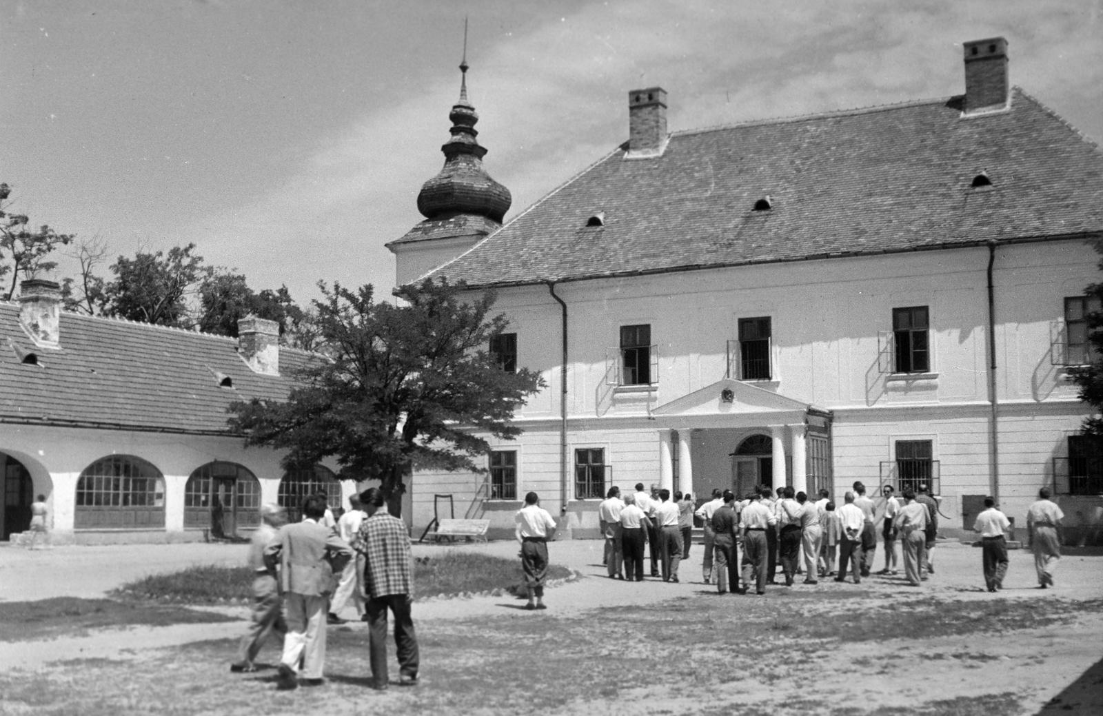 1951, Böhönyey Ágnes, Fortepan #309196