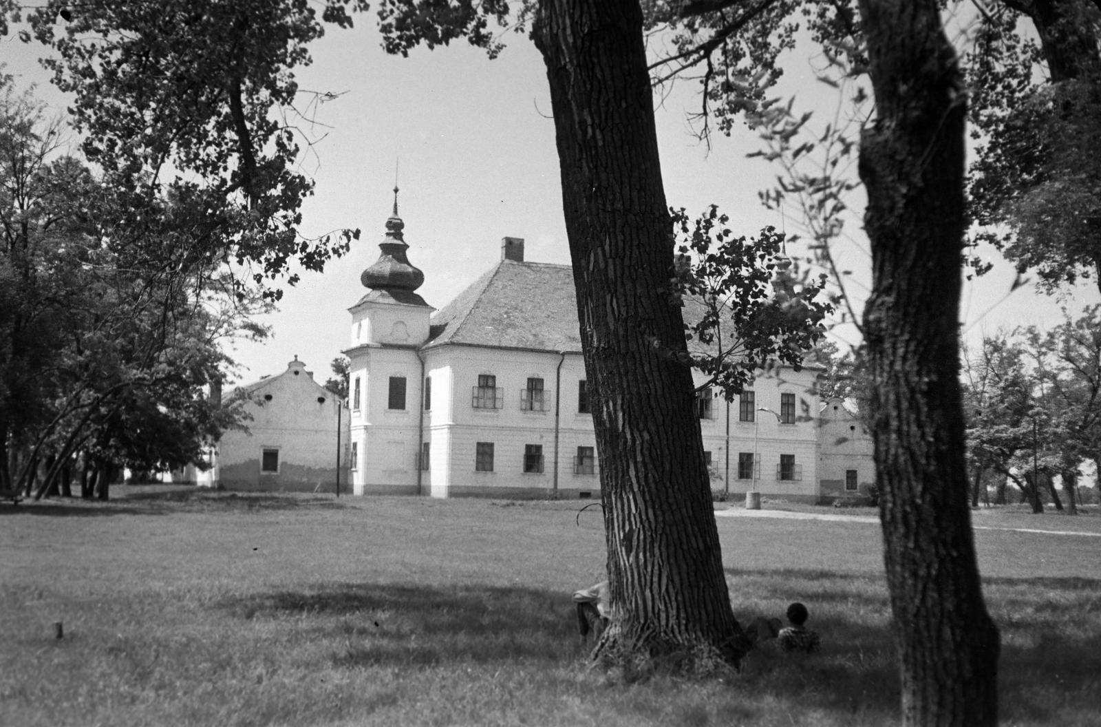 1951, Böhönyey Ágnes, Fortepan #309197