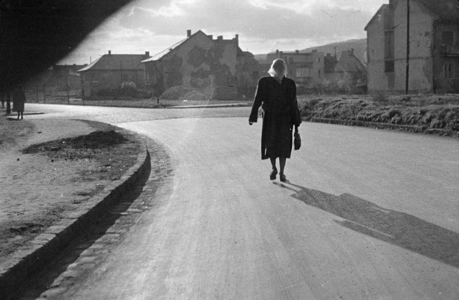 1950, Böhönyey Ágnes, Fortepan #309214