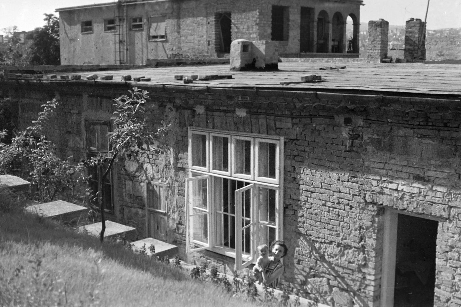 1950, Böhönyey Ágnes, Fortepan #309216